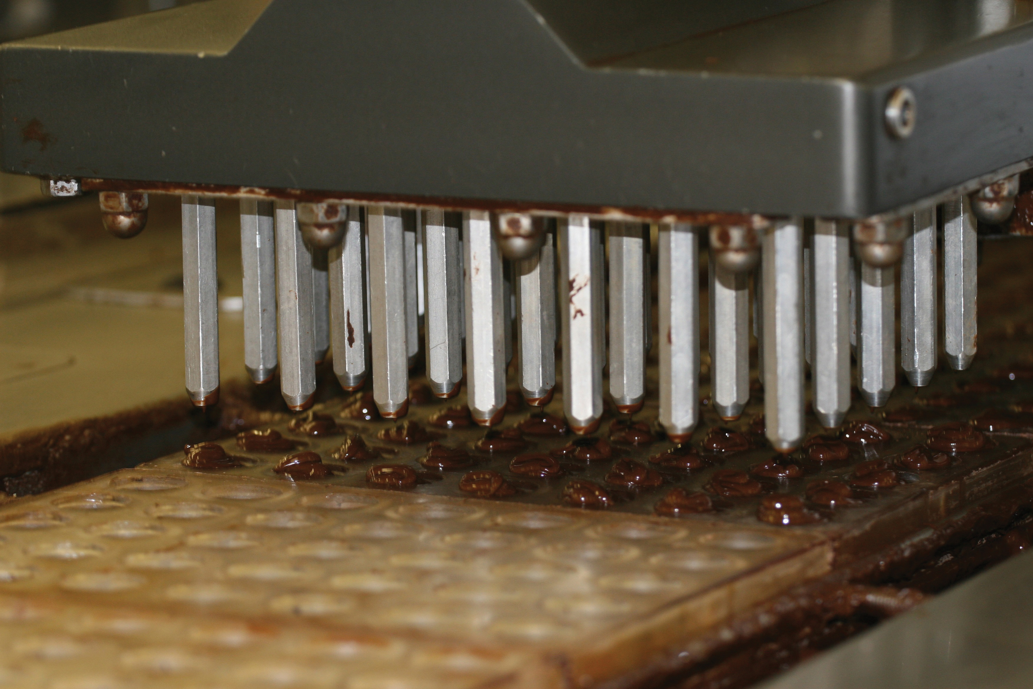 photo of chocolate filling line
